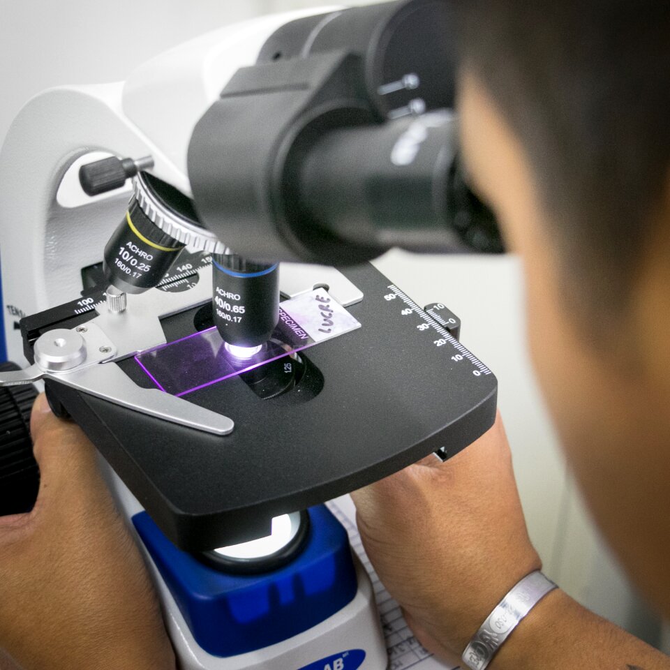 Microscope cells science