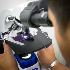 Microscope cells science photo