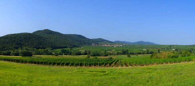 Landscape germany wine road