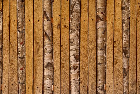 Weathered branches wood