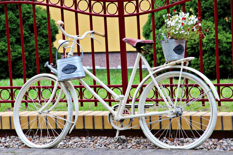 Romantic summer cycling