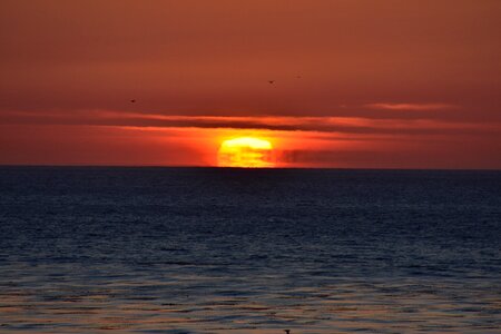 Sunset pacific cambria photo