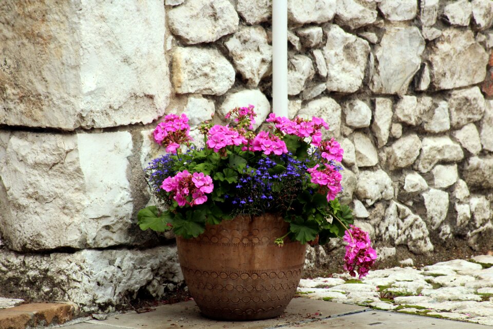 Stone wall nature ornament