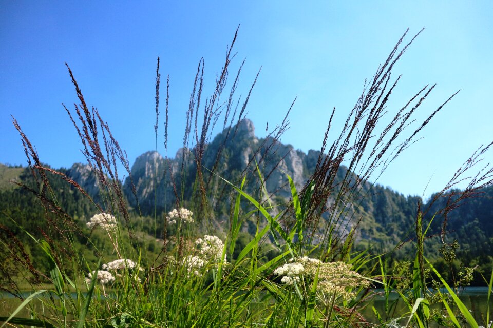 Mountains landscape austria