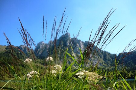Mountains landscape austria