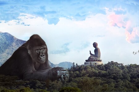 Giant monkey hong kong