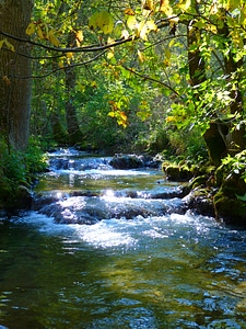 Bach creek river
