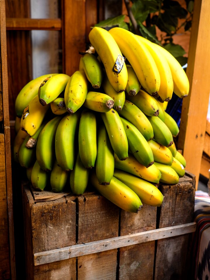 Healthy bananas tropical