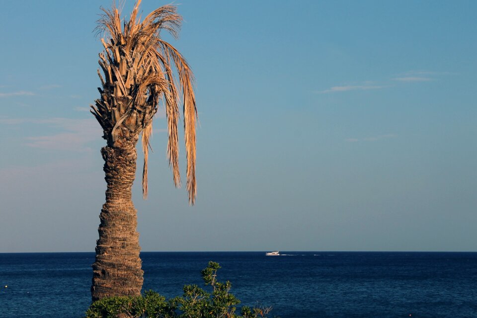 Coast mediterranean dry