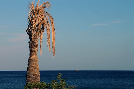 Coast mediterranean dry