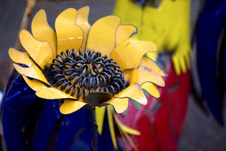 Yellow amish crafty photo
