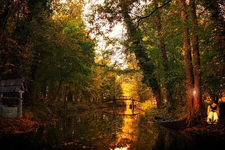 Landscape depth trees photo