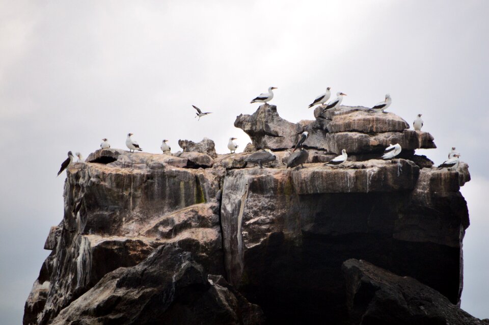 Island rocks nature