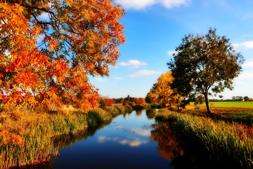 Nature landscape water