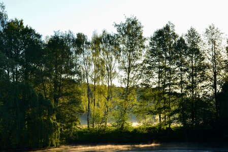 Nature mood sunrise