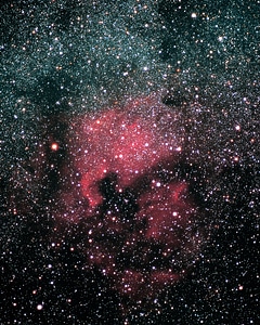 North america nebula ngc 7000 galaxy photo