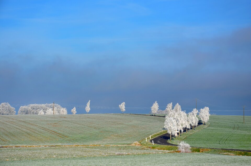 Nature field cold