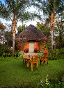 Travel tropical tourism