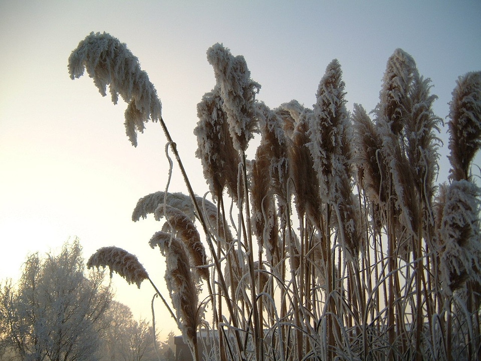 Winter ice water