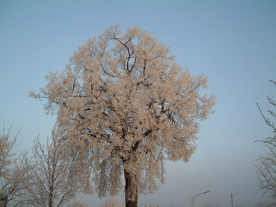 Winter ice water