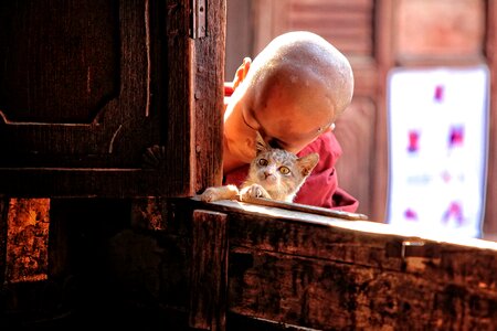 Monastery buddhism the tradition of photo