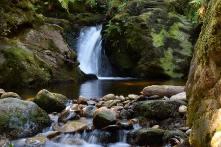 River chorsin green photo