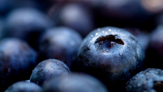 Fruit blue oatmeal photo