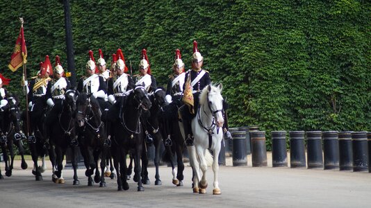 Horse body guard great britain horseguards