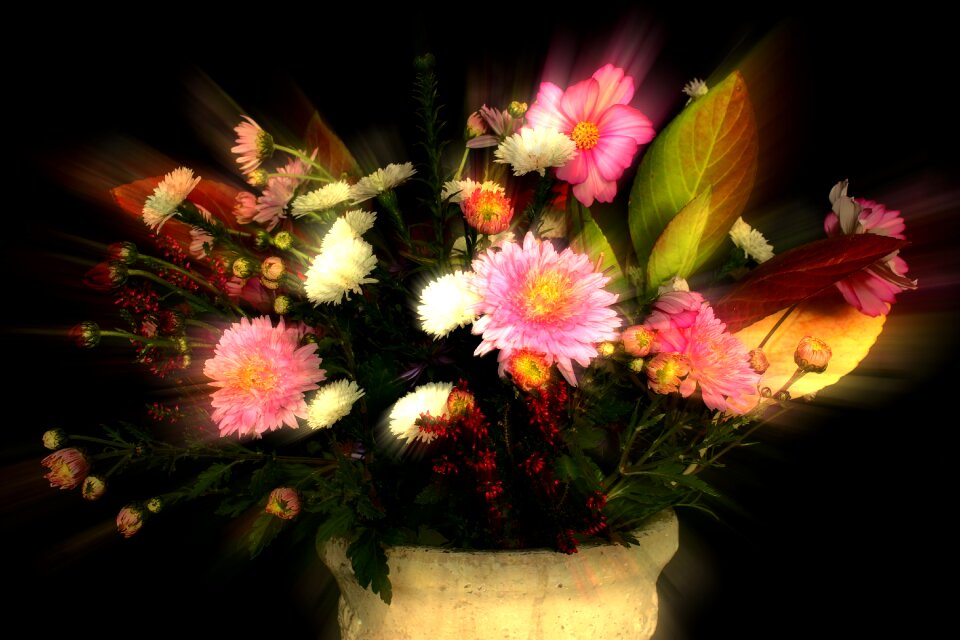Decoration plant pink