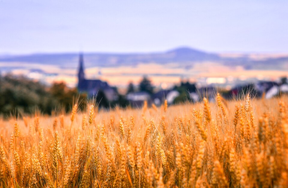 Grain village church