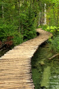 Boardwalk plitvice lakes croatia photo