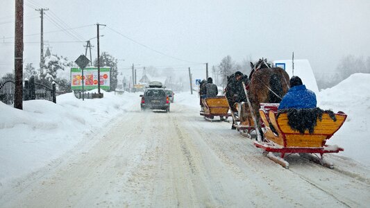 Snow transport sled