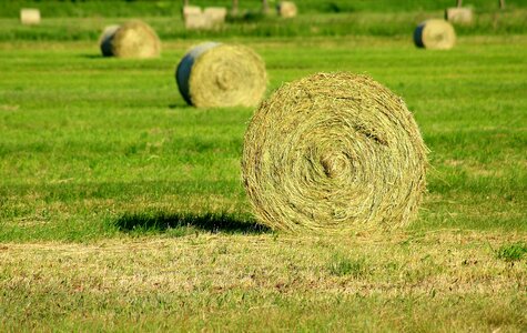 Agriculture round nature