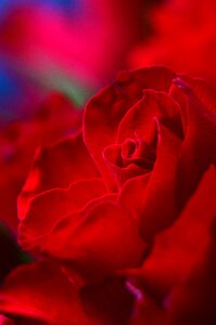 Love symbolism spring