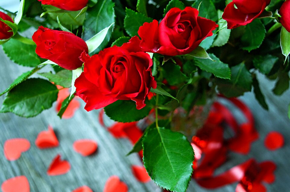 Romantic love romance