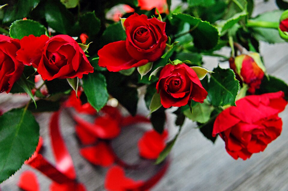 Romantic romance love