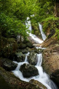 Streams forest wet photo