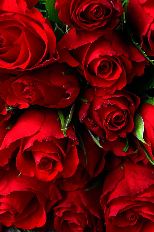 Romantic romance love