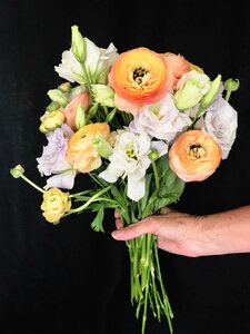 Colorful black background hand