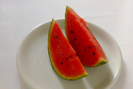 Food summer melon
