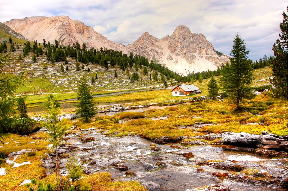 Landscape fanes summer