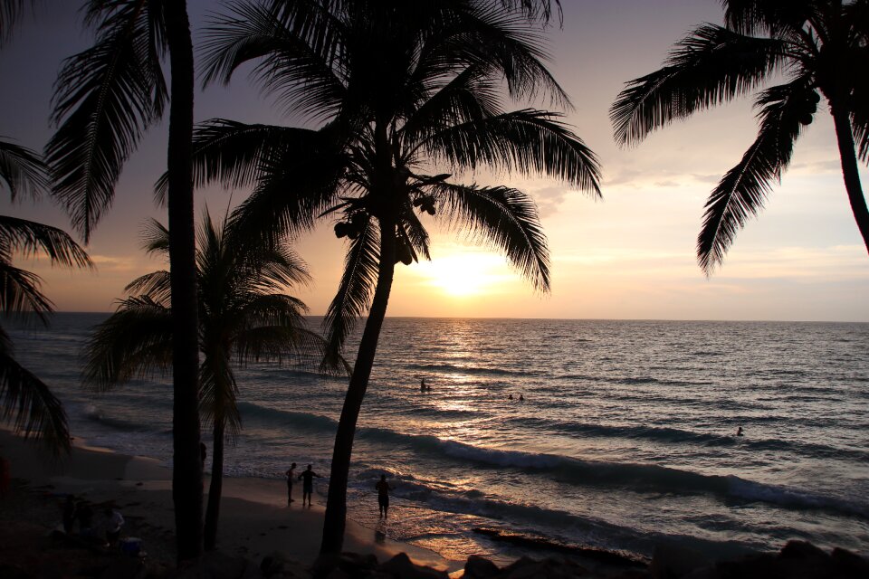 Sun sea wave