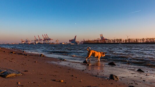 Elbe maritime water photo