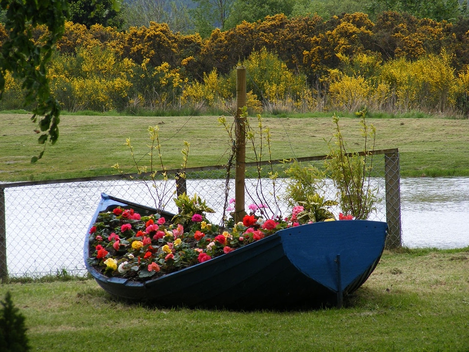 Grass boat blue