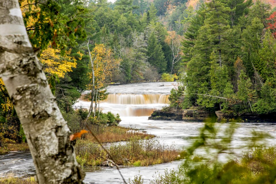 Michigan nature landscape