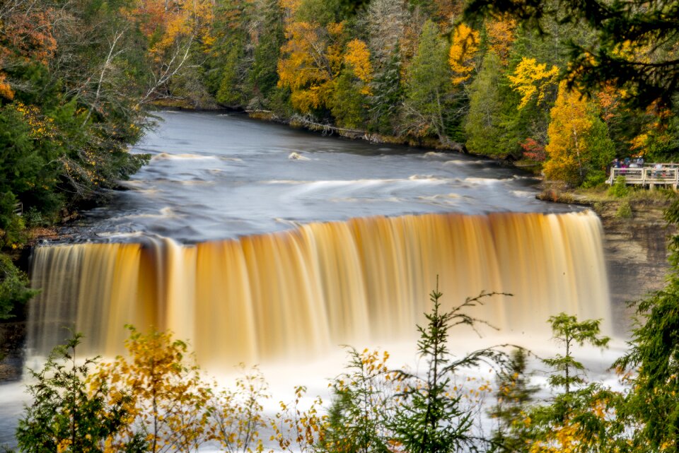Michigan nature landscape