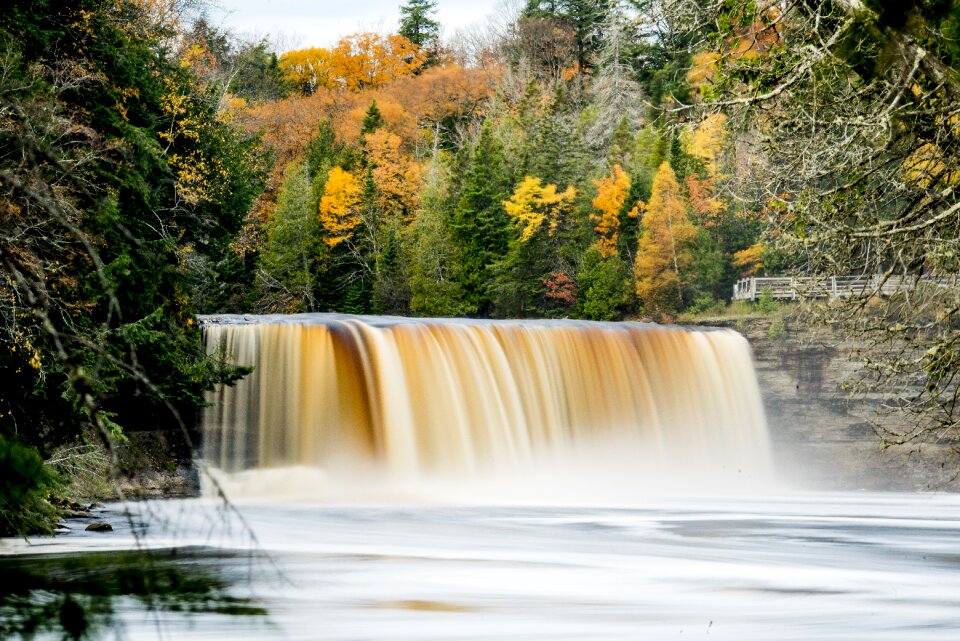 Michigan nature landscape