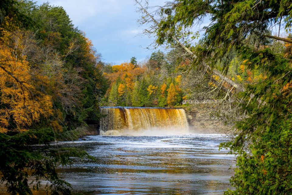 Michigan nature landscape