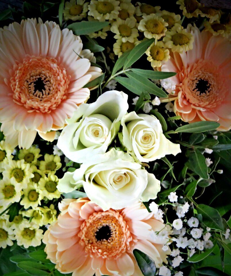 Salmon white roses white mini asters