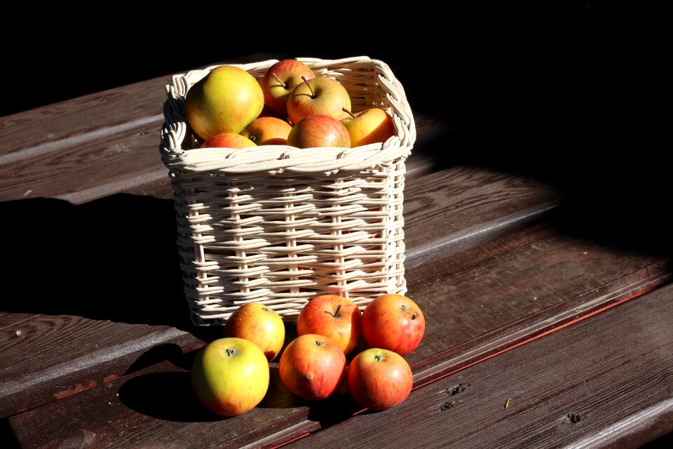 Autumn fruit vitamins